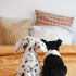 Debbie the Dalmation