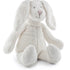 Bella The Bunny