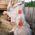 Child playing with a plush chicken toy in a barn setting