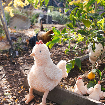 Plush chicken toy in a garden setting with real chickens. Kids and newborn toys