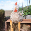 Plush toy chicken on a wooden platform with a garden background