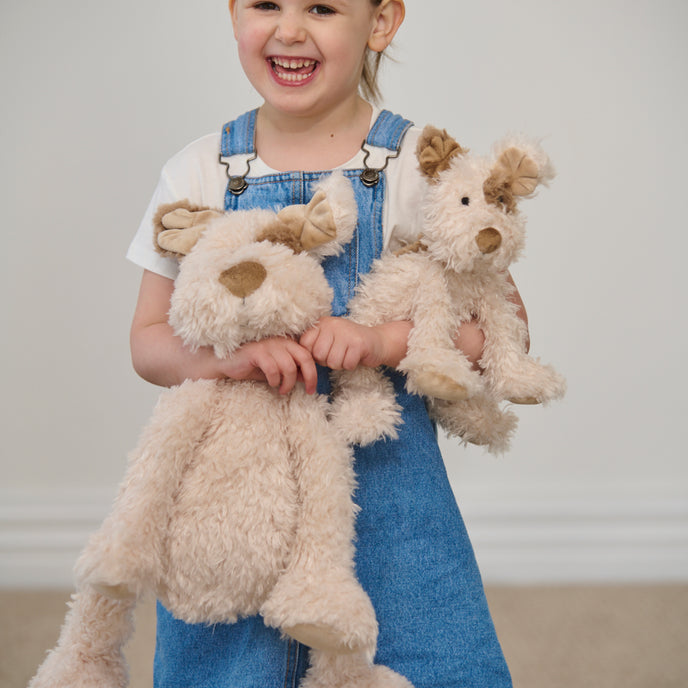 Young girl holding two teddy dogs against a plain background