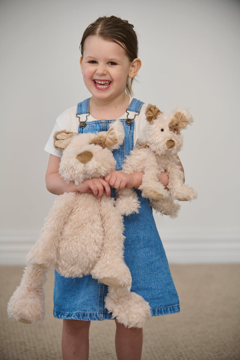 Young girl holding two teddy dogs against a plain background