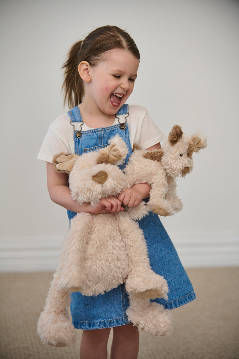 Young girl holding two teddy dogs against a plain background