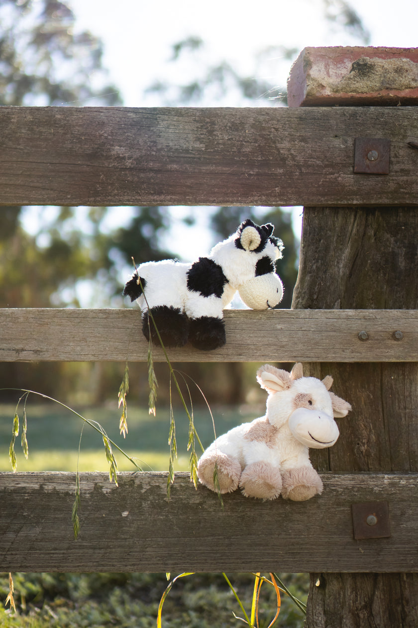 Coco The Cow-Black